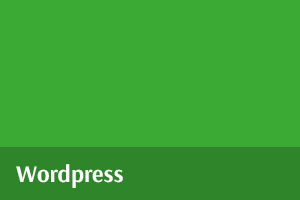 online marketing_wordpress_300x200.jpg